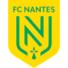 南特 南特